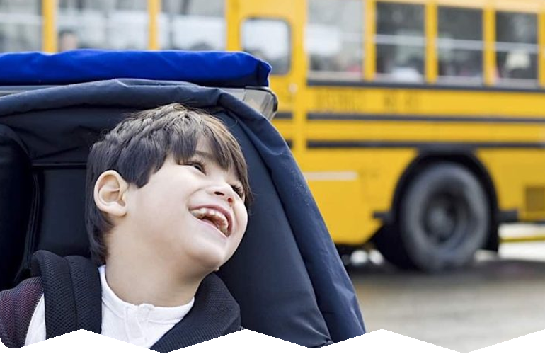 School & Education Transport